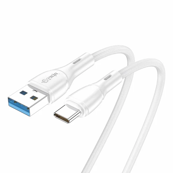 RC18 FLASH DATA CABLE 1